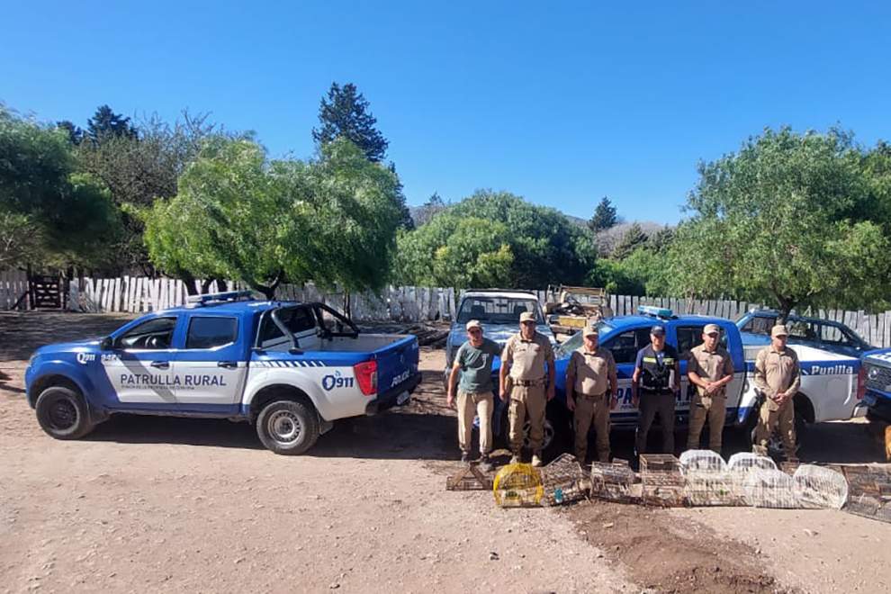 Policía Ambiental recuperó 43 aves del cautiverio: 12 fueron de Los Aromos