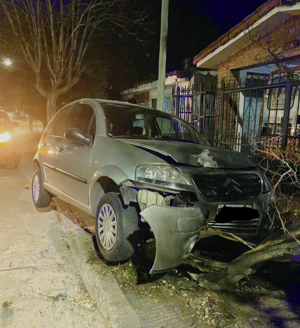 Perdió el control y chocó contra un árbol
