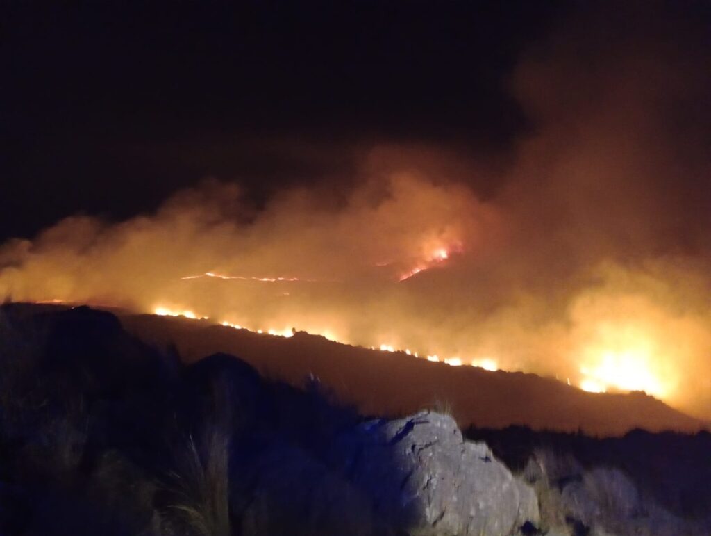 Combaten incendio en Potrero de Garay, que avanza sobre flora y fauna nativa