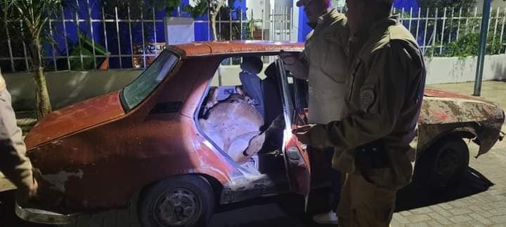 Se robaron un ternero y tres lechones en un Renault 12