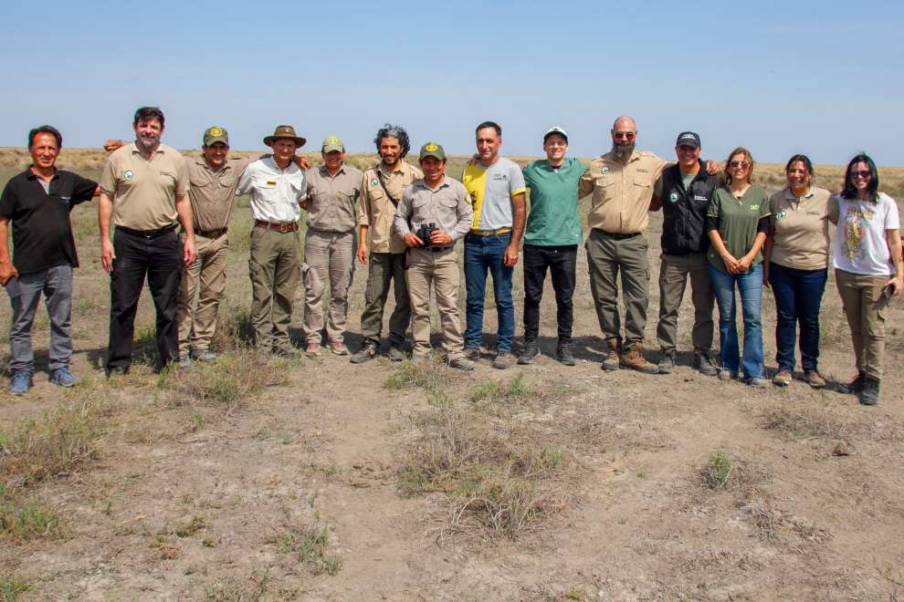 Otro aguará guazú regresa a la naturaleza