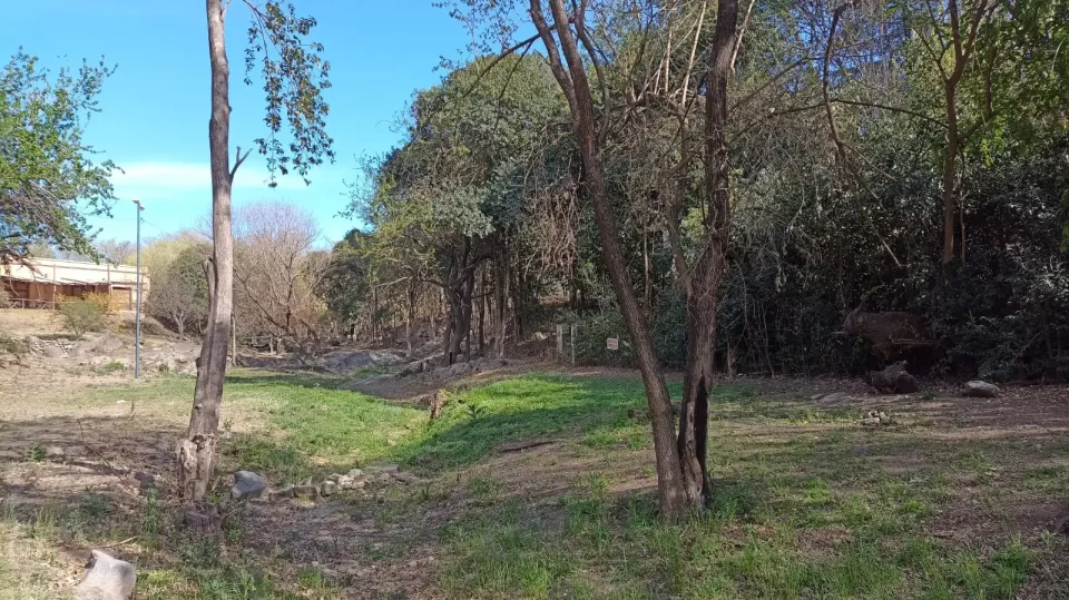 "Un arroyo poco común": el proyecto de la Escuela Domingo Faustino Sarmiento