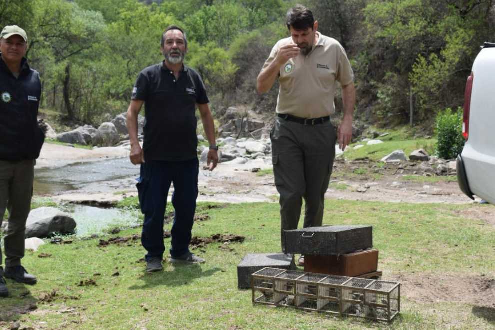 Regresan a su hábitat natural 63 aves que estaban en cautiverio