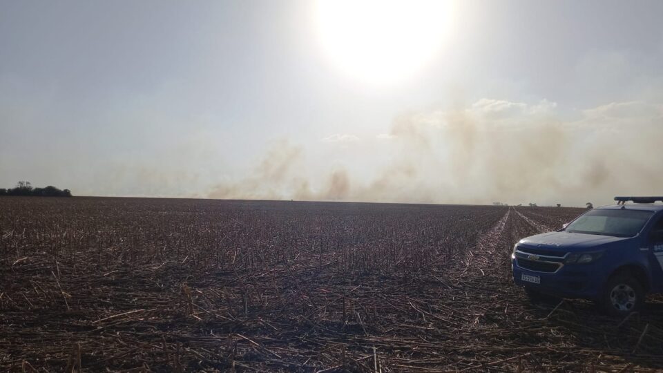Trabajan conteniendo un incendio de 3km de frente en Los Cedros
