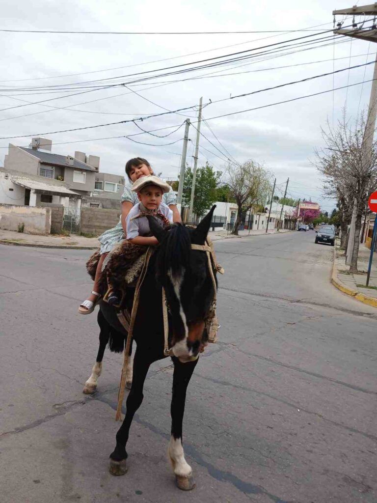 Una familia busca desesperadamente a su yegua y potrillo en Villa del Prado