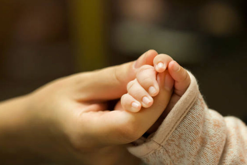 Convocatoria de SeNAF para acoger a niños y niñas temporalmente