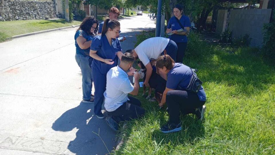 ADMA y Salud Pública llevaron a cabo un operativo por un caso de Leishmaniasis