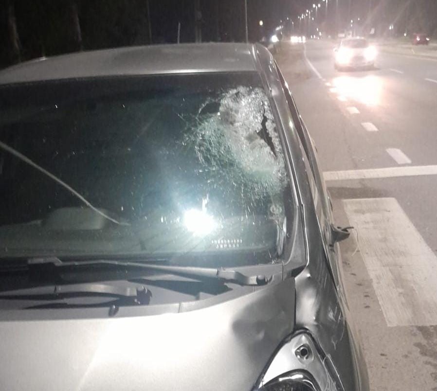 Caballo suelto en la ruta: un nuevo accidente