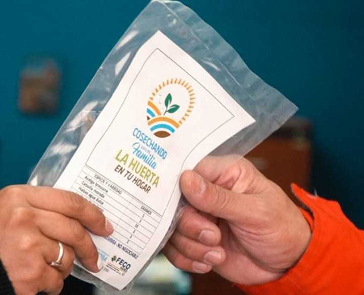 Continúan las capacitaciones en Huerta Urbana y entrega de kits de semillas