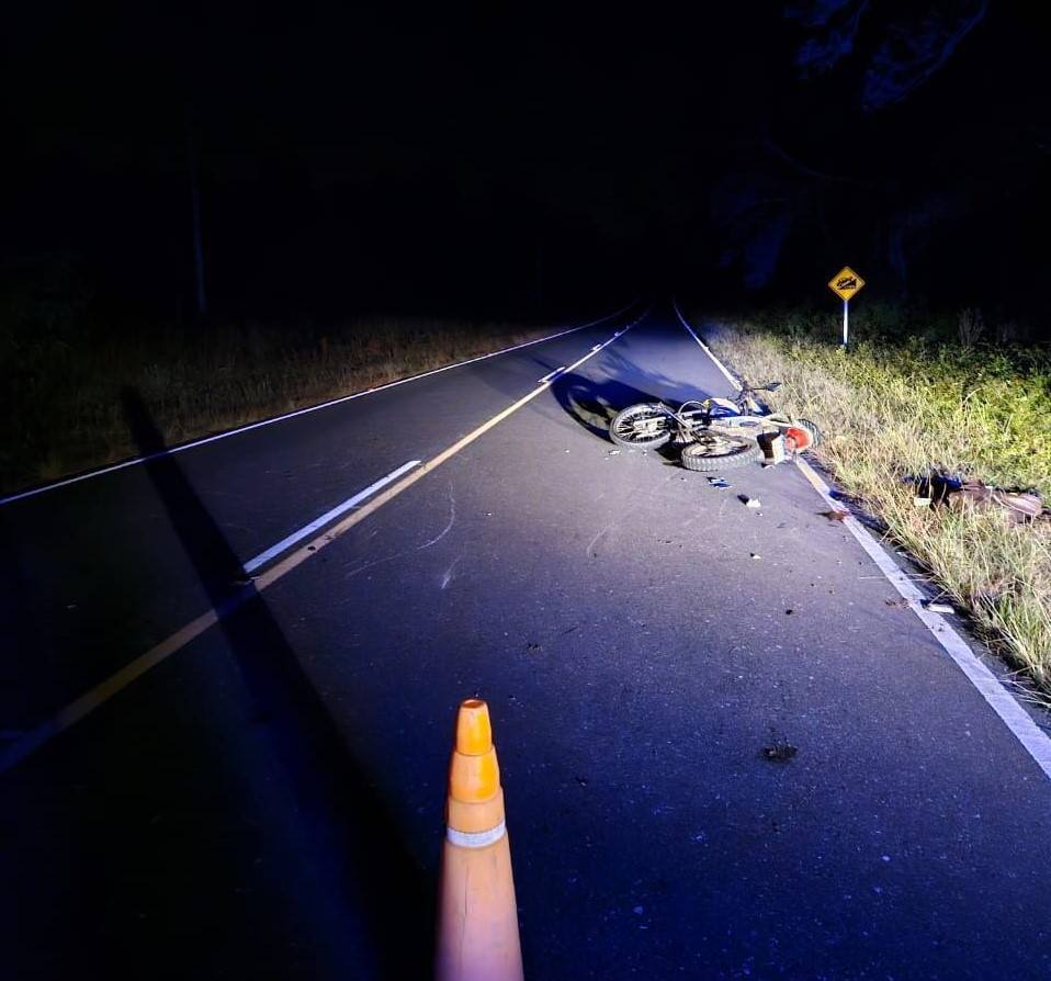 Motociclista chocó con un animal en la ruta y resultó herido