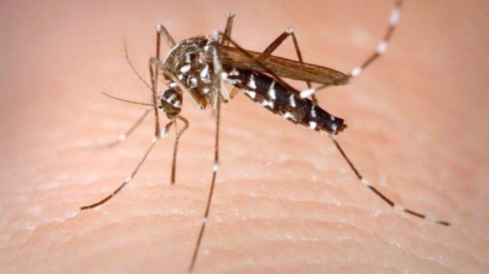 "Los casos de dengue en Alta Gracia han presentado una baja importante"
