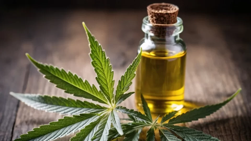 No es delito circular con exceso de marihuana respecto de lo permitido
