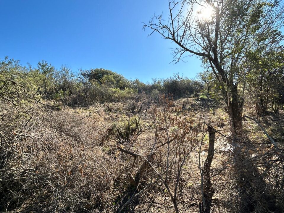 Intentaron usurpar la Reserva Natural “Canteras del Cerro”