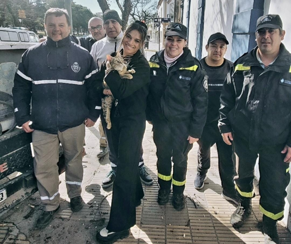 Para variar un poco: Defensa Civil rescató a un gato y lo devolvió a su hogar