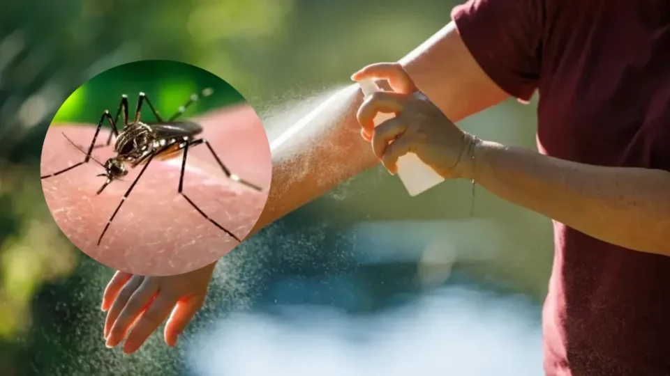 Anmat prohibió el uso y la venta de un repelente para mosquitos