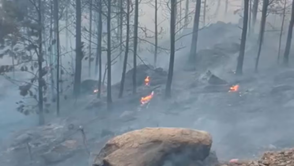 Evacuados por el avance del fuego en Calamuchita