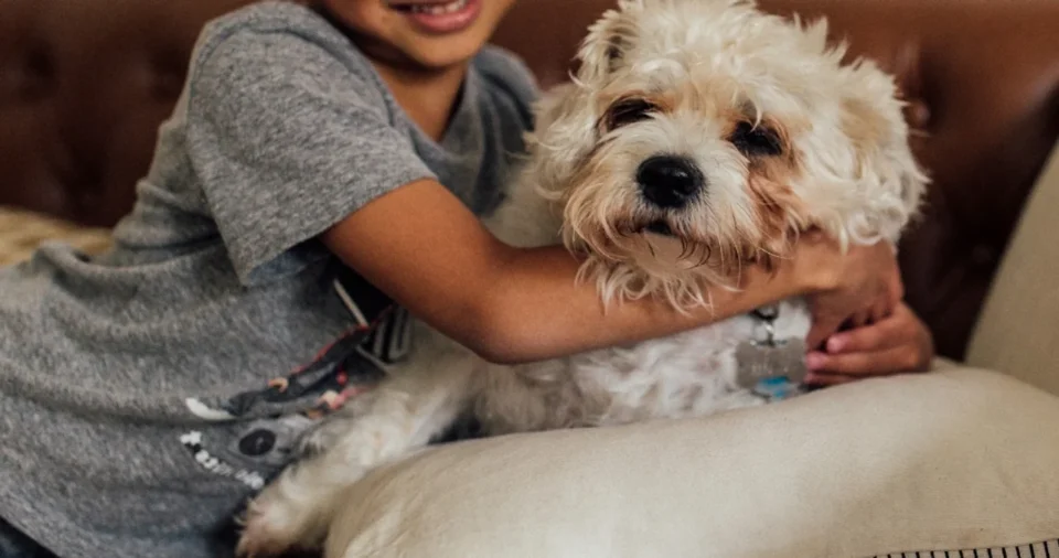 Buscan familias para adoptar a un nene cordobés: el requisito por su amor por los animales