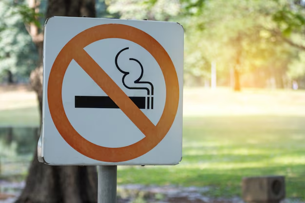 Nuevo proyecto en Alta Gracia: buscan prohibir fumar en espacios públicos