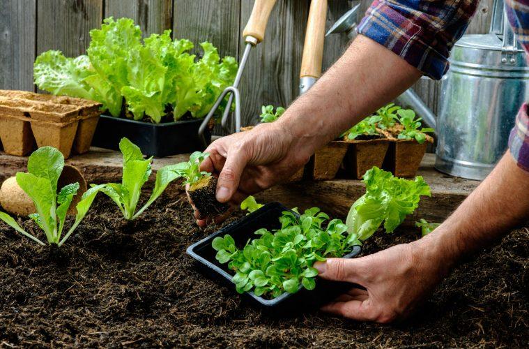 “Tu Semilla, Tu Huerta”: capacitación, premios y entrega de semillas en el Monumental Sierras