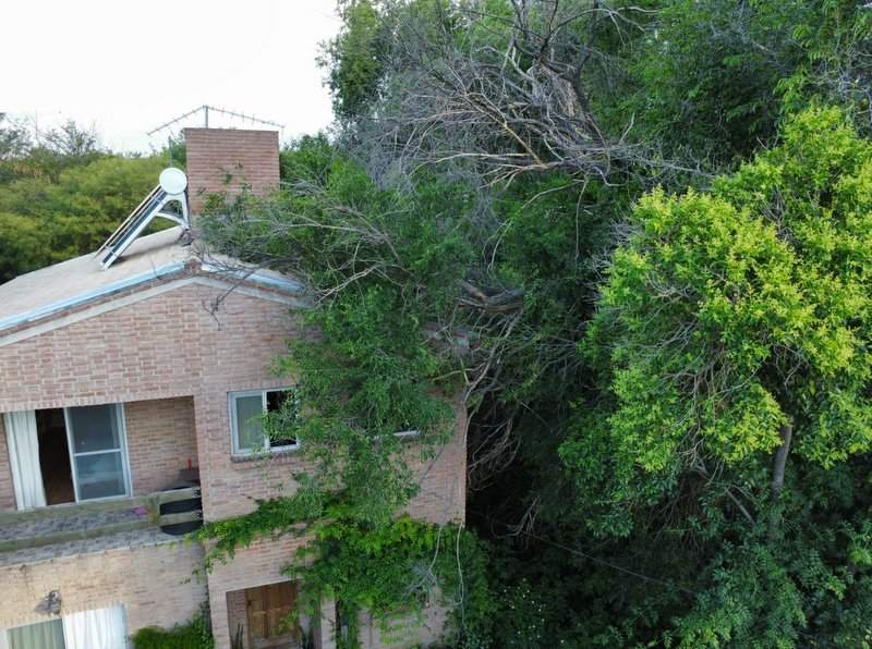La Bolsa: la tormenta obligó a desplomar un árbol que había caído sobre una casa