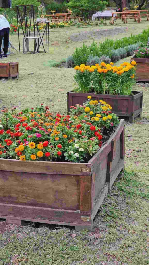 "Atardecer entre Flores": se realizó la apertura de temporada de Despeñaderos Florece