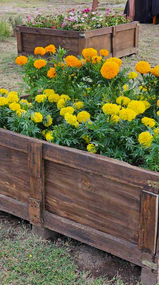 "Atardecer entre Flores": se realizó la apertura de temporada de Despeñaderos Florece