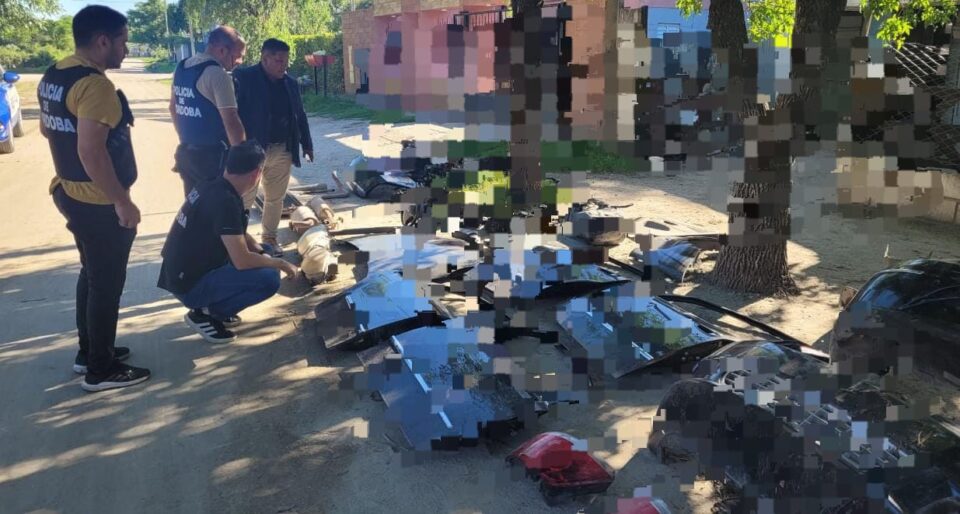Desbarataron un desarmadero e incautaron plantas de marihuana