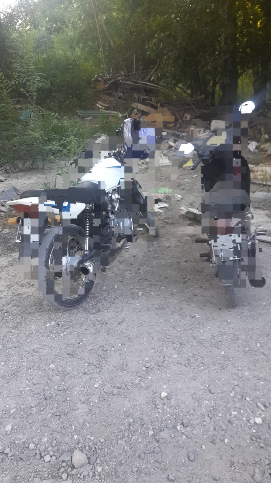Malagueño: se metieron al depósito municipal y habrían robado varios caballos
