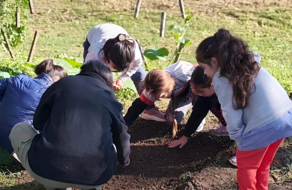 Educación ambiental en Toledo: el taller “Manos a la Tierra” llegó a las escuelas locales