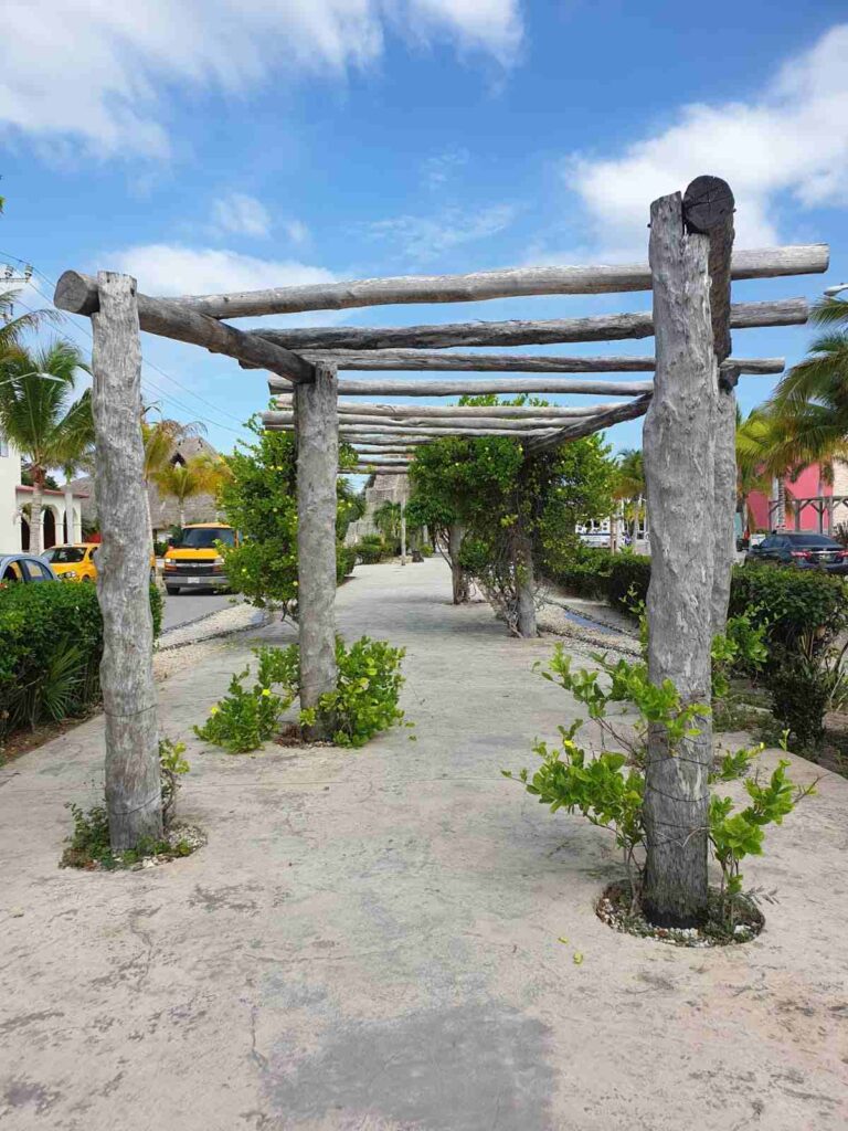 La historia de Camila: dejó su trabajo de oficina y se convirtió en instructora de buceo en el Caribe