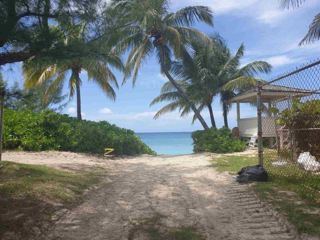 La historia de Camila: dejó su trabajo de oficina y se convirtió en instructora de buceo en el Caribe