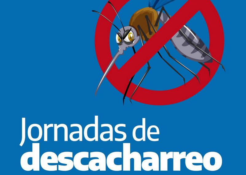 Anisacate profundiza acciones en la lucha contra el Dengue