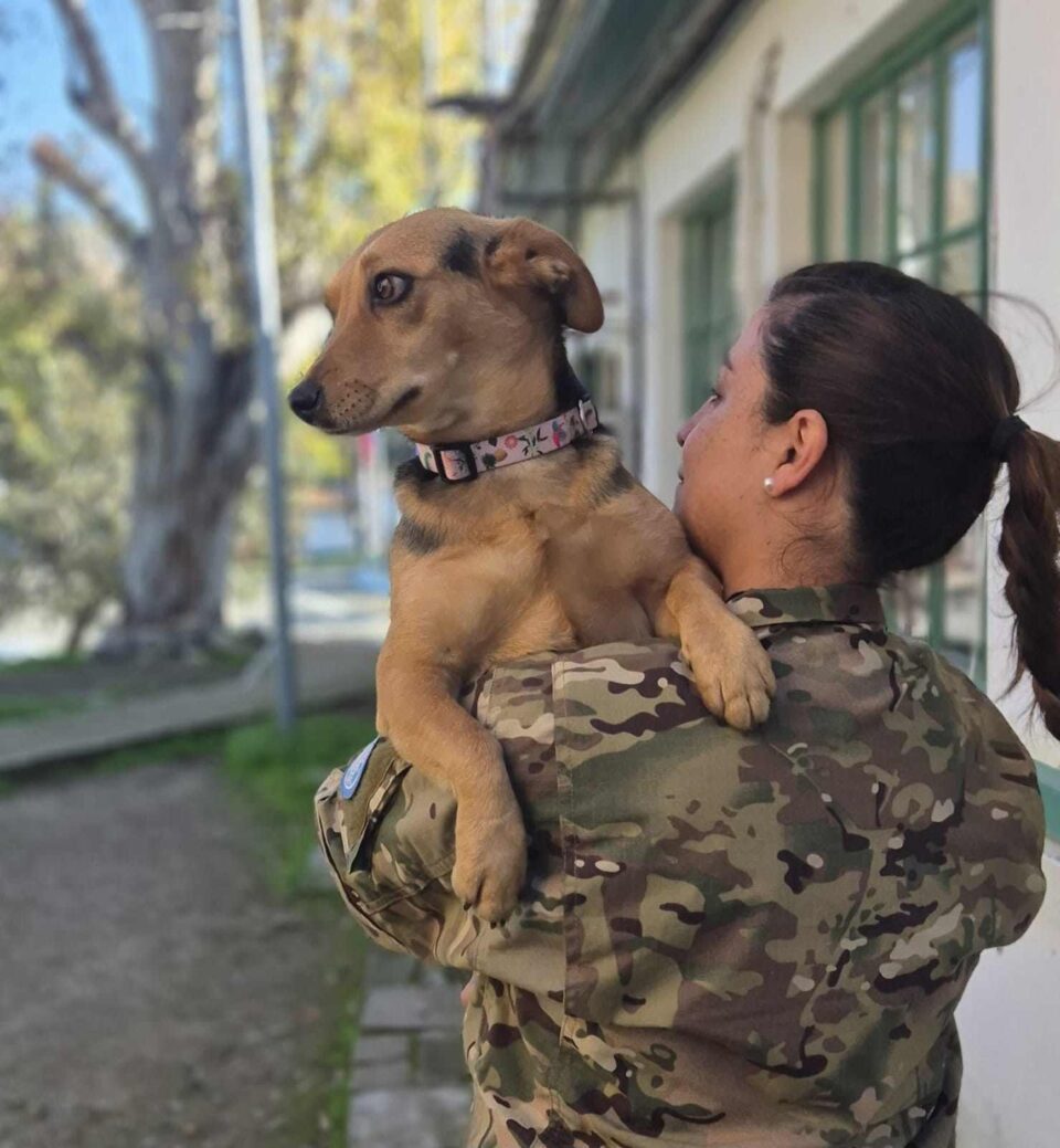 Aylen, la altagraciense que no se rindió hasta traer a su perrita desde Chipre