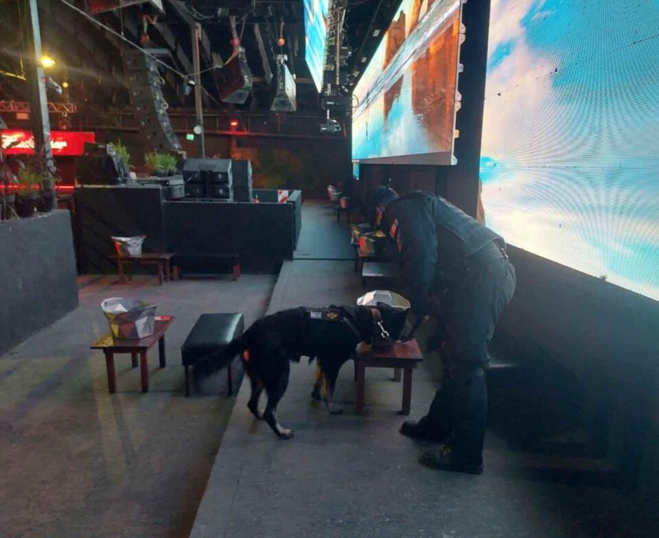 Incautaron marihuana, cocaína y hasta éxtasis de una fiesta electrónica en Malagueño