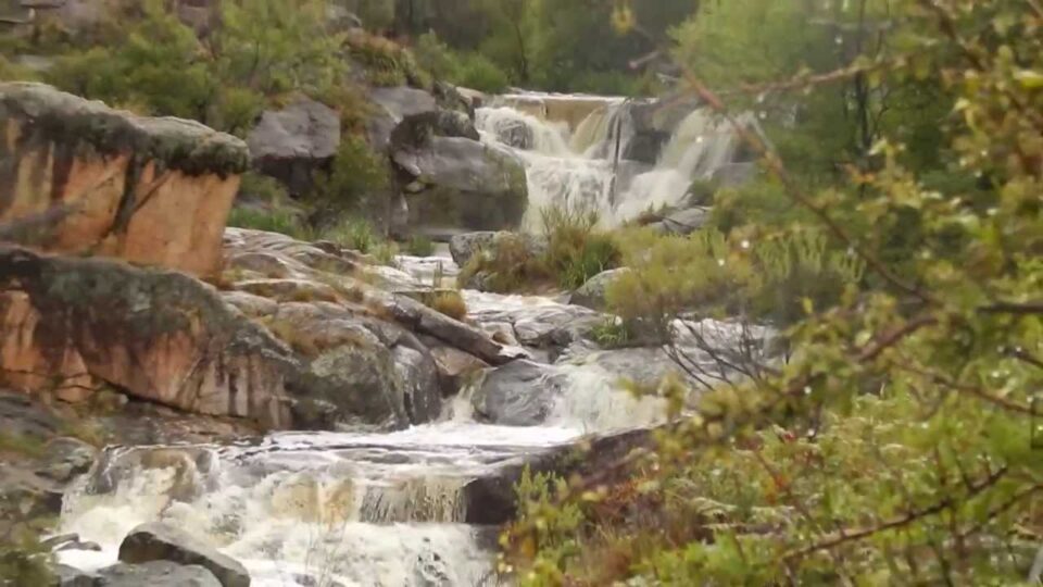 San Clemente ya cuenta con su Código Paisajístico: una herramienta para cuidar el entorno natural