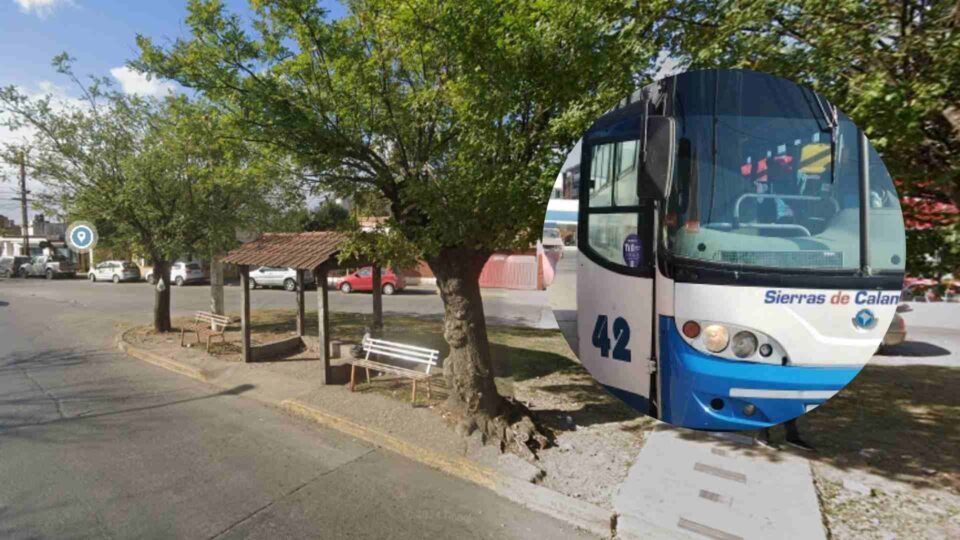 Un gesto que hizo el día mejor: bajó el chasis del colectivo para que una señora pudiera subir