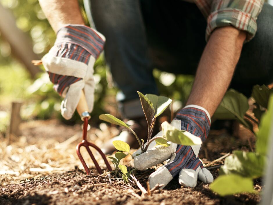 Aprendé Jardinería y Viverismo en el curso gratuito de barrio Parque Virrey