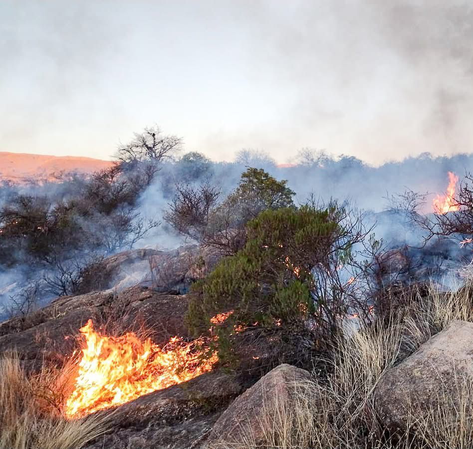 Incendios en Córdoba: contuvieron nueve focos en el día de ayer