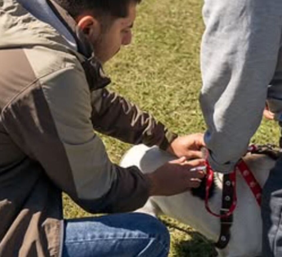 Anisacate continúa con la campaña gratuita de vacunación antirrábica