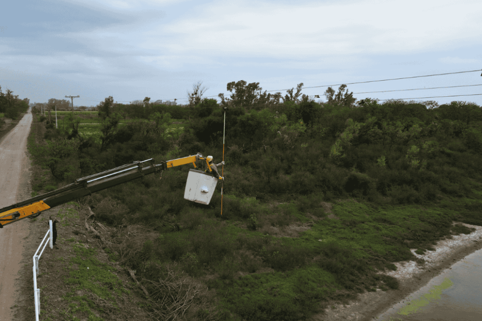 La Provincia instaló desviadores de vuelo en líneas eléctricas para proteger aves migratorias