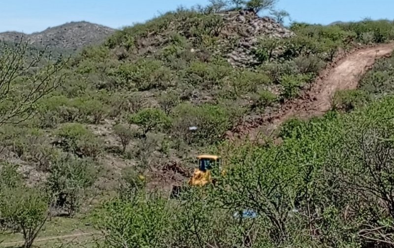 Desmonte ilegal en el Cerro: mucho más que la lucha por el derecho a la tierra