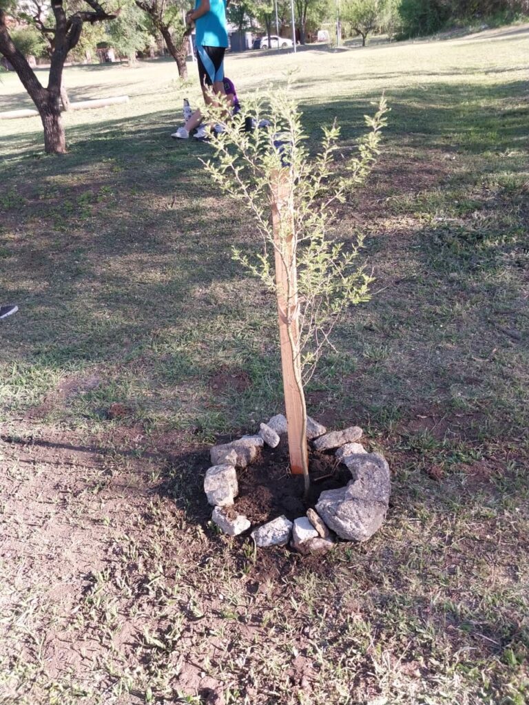 Alumnos de la Escuela ProA plantaron árboles autóctonos en la reserva de Barrio Liniers