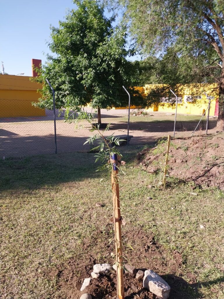 Alumnos de la Escuela ProA plantaron árboles autóctonos en la reserva de Barrio Liniers