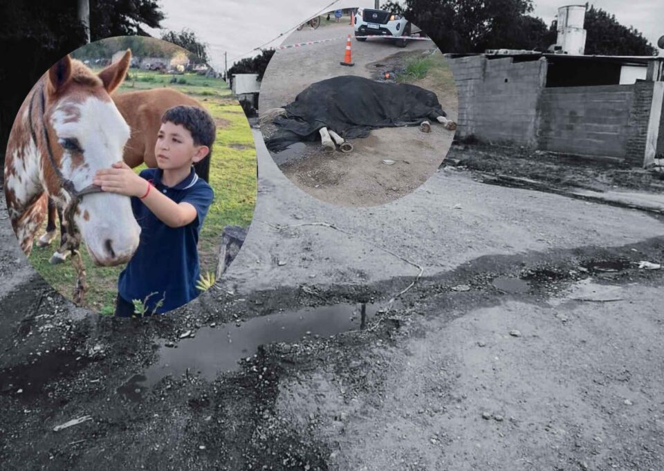 El héroe de Matías: su caballo murió electrocutado y asegura que el animal le salvó la vida