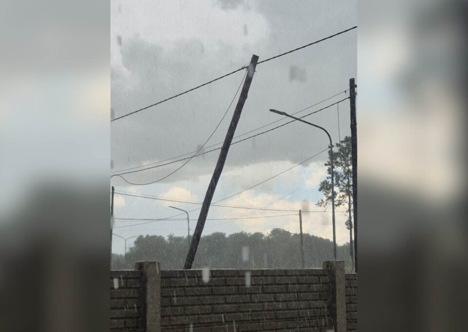 Tormenta veraniega en Alta Gracia: riesgos con postes y árboles caidos en distintos barrios