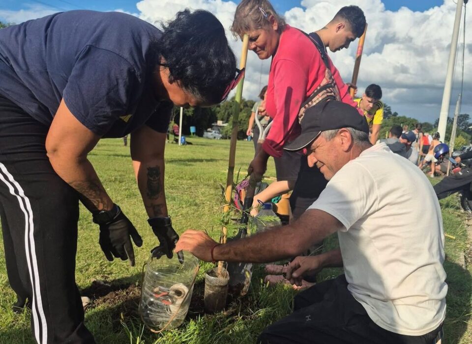 Plantaron 50 árboles en la canchita de Temperley en barrio Parque del Virrey