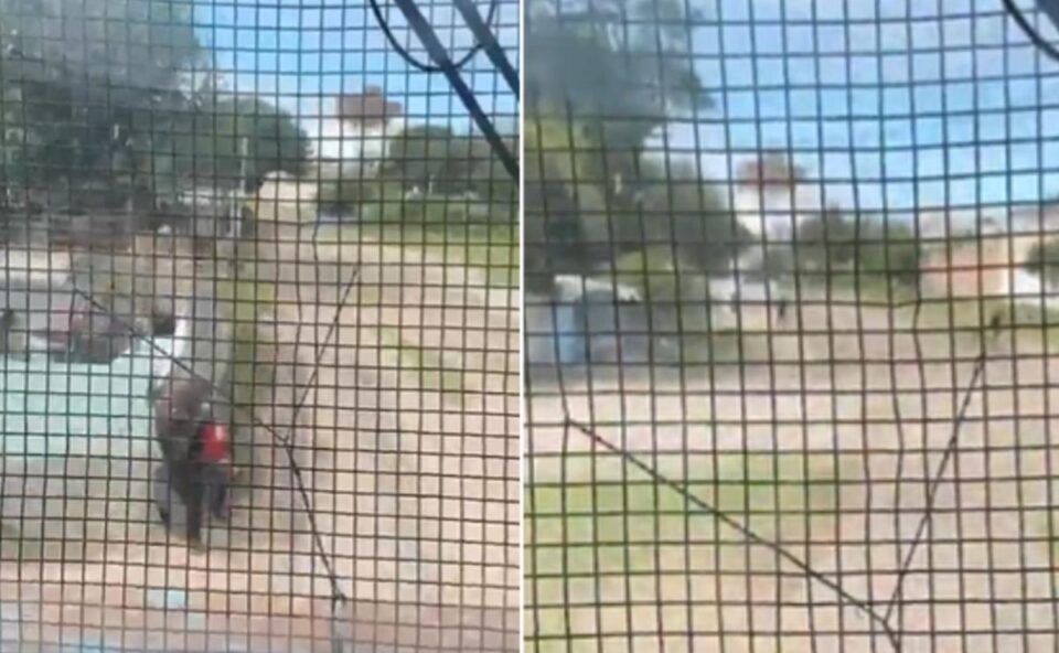 Dramático video: un policía salvó a un niño de ser arrollado por el tren