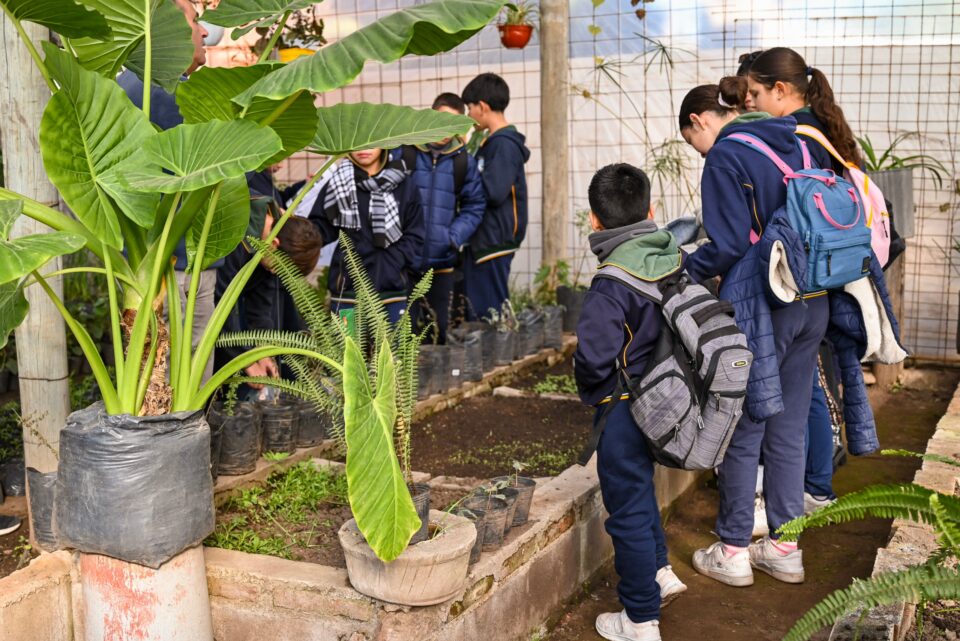 Con las manos en la tierra, alumnos iniciaron el ciclo 2026 de “Pequeños Forestadores”
