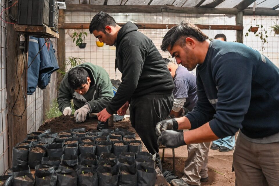 Formación e inclusión: estudiantes ya trabajan en el Vivero Municipal