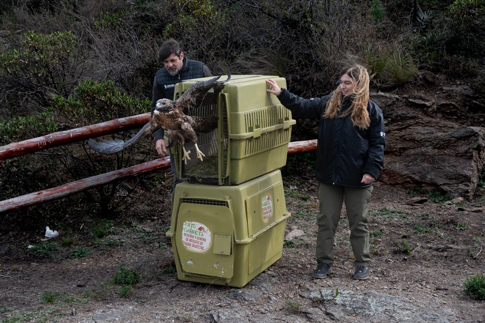 La Policía Ambiental liberó 53 animales rehabilitados en el Tatú Carreta